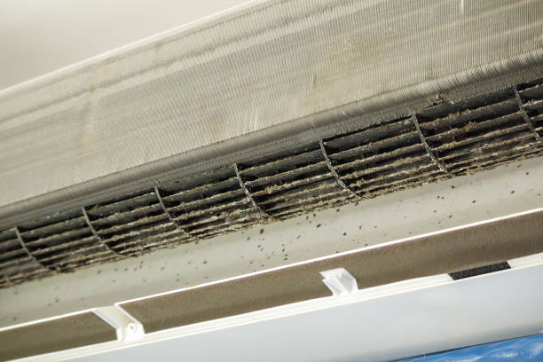 Best Affordable HVAC Duct Cleaning  in Anton, TX